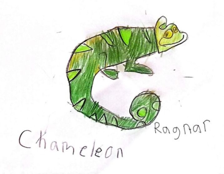 Artist Image